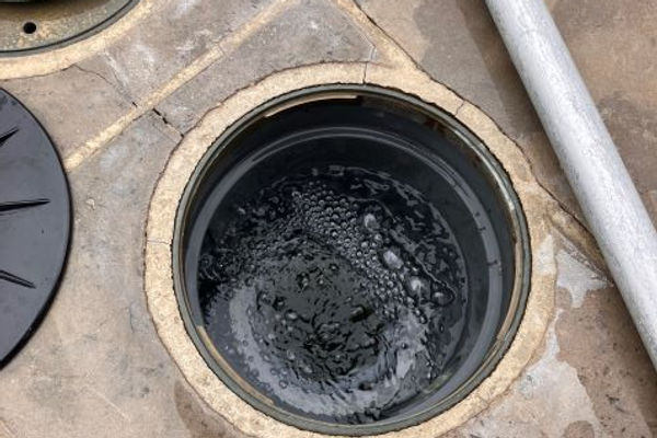 Pool skimmer